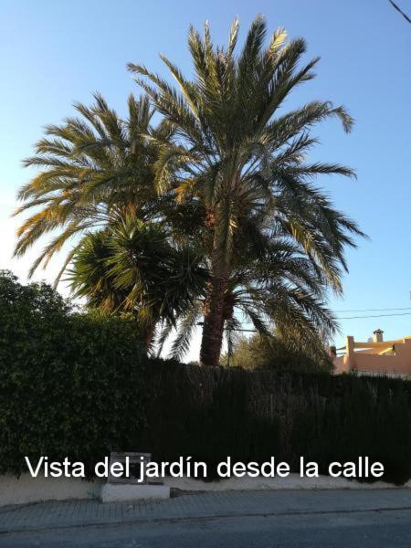 Sun & Palm Trees Apartamento Balsares Exterior foto