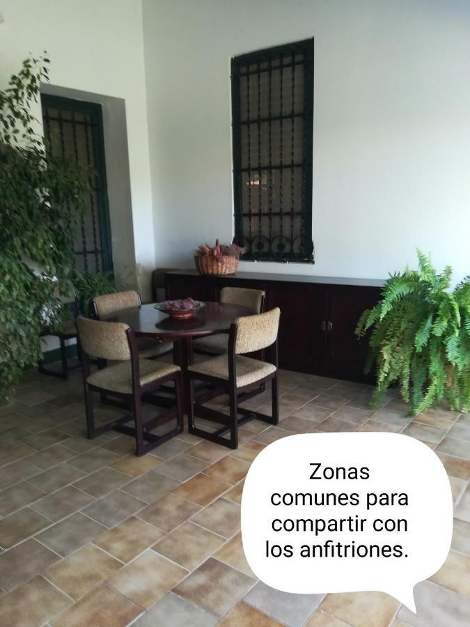 Sun & Palm Trees Apartamento Balsares Exterior foto